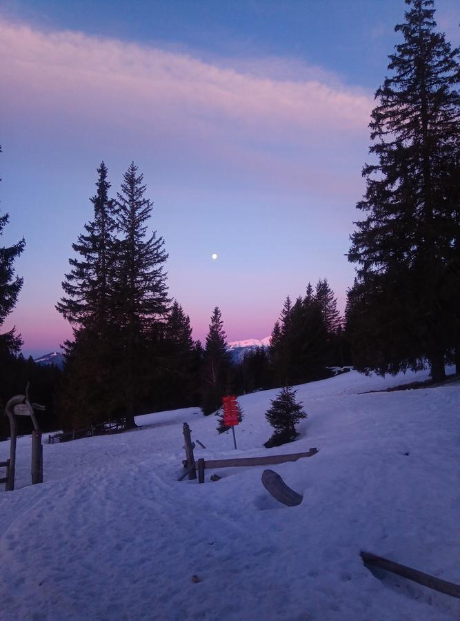 Lodge Mountain Smrekovc