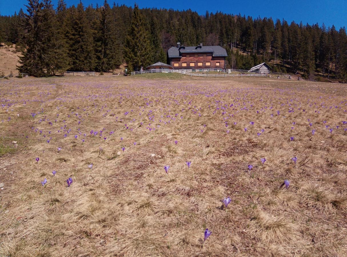 Mountain Smrekovc Sostanj